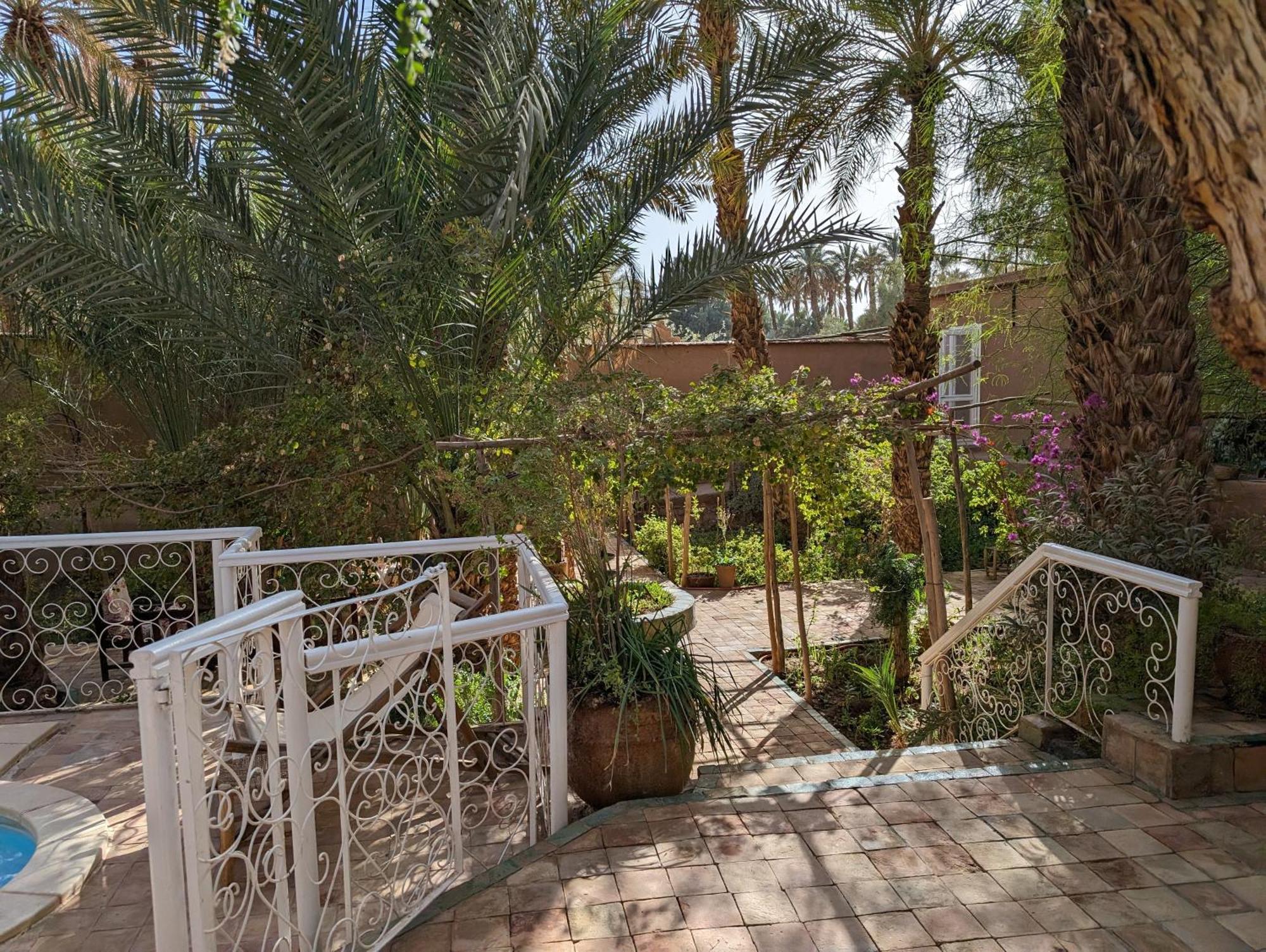 Villa Zagora Ma Villa Au Sahara Exterior foto
