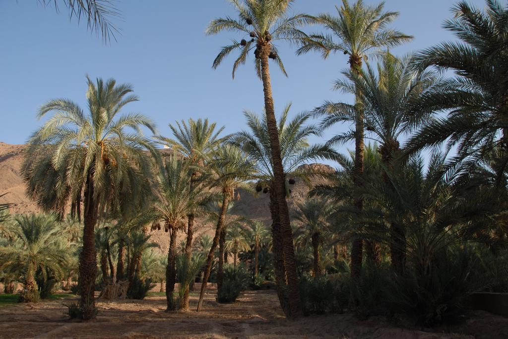Villa Zagora Ma Villa Au Sahara Exterior foto
