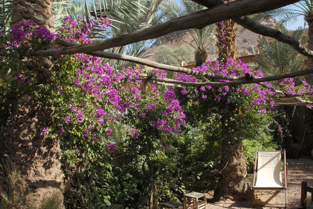 Villa Zagora Ma Villa Au Sahara Exterior foto